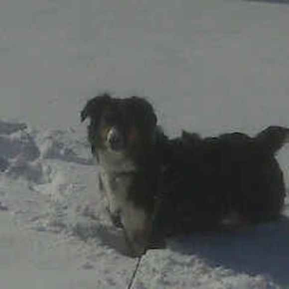 Meet your Posher, Roxanne - Picture 1 of 1